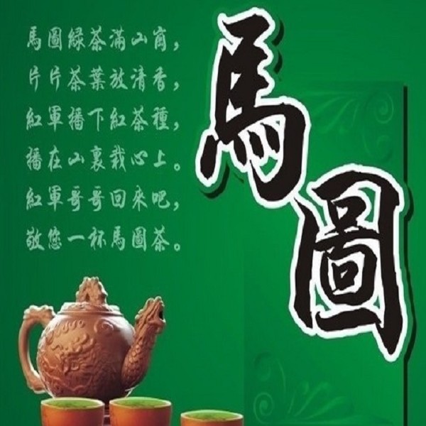 马图绿茶广东丰顺特产